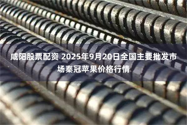 咸阳股票配资 2025年9月20日全国主要批发市场秦冠苹果价格行情