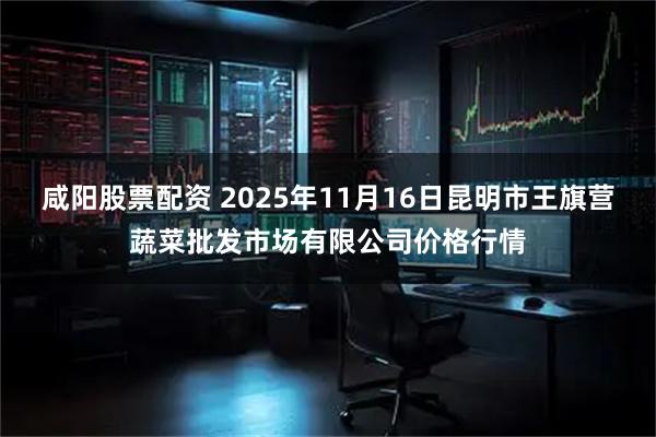 咸阳股票配资 2025年11月16日昆明市王旗营蔬菜批发市场有限公司价格行情