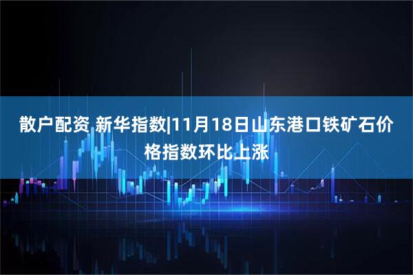 散户配资 新华指数|11月18日山东港口铁矿石价格指数环比上涨